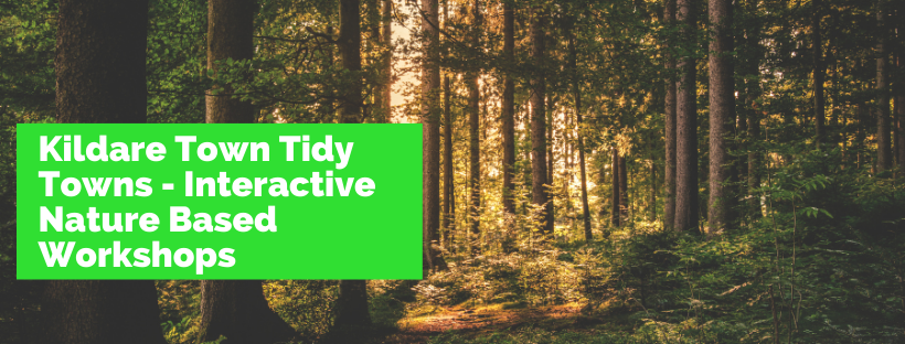 Kildare Town Tidy Towns – Interactive Nature Based Workshops