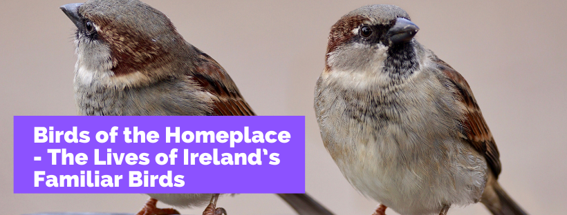 Birds of the Homeplace. The Lives of Irelandâ€™s Familiar Birds