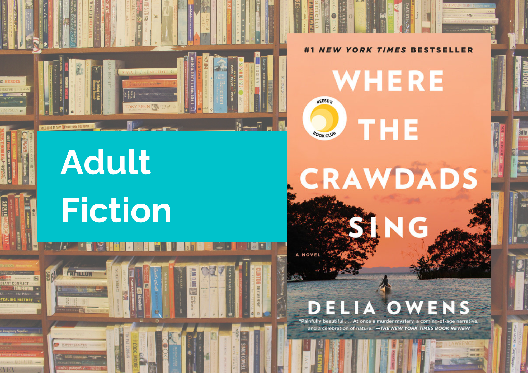 Book Review: Where The Crawdads Sing