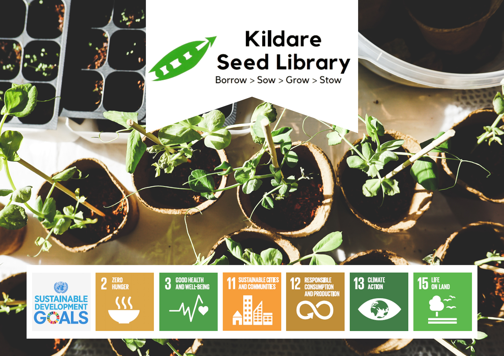 Launch of the Kildare Seed Library 2023