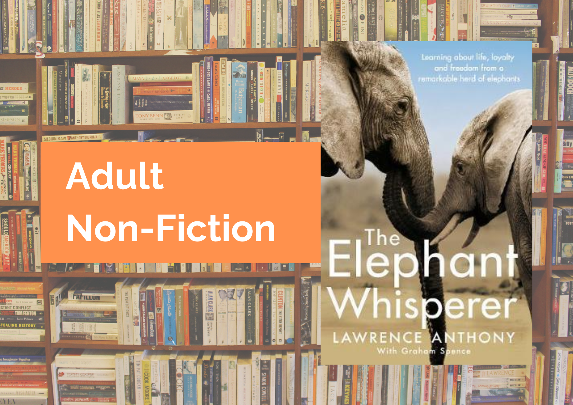 Book Review: The Elephant Whisperer