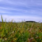 Image of Curragh of Kildare taken by Mario Corrigan