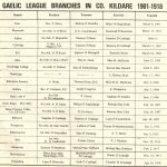 Summary of Gaelic League branches in County Kildare circa 1918. Taken from Leinster Leader anniversary supplement.