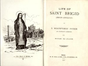 Life of St Brigid book cover