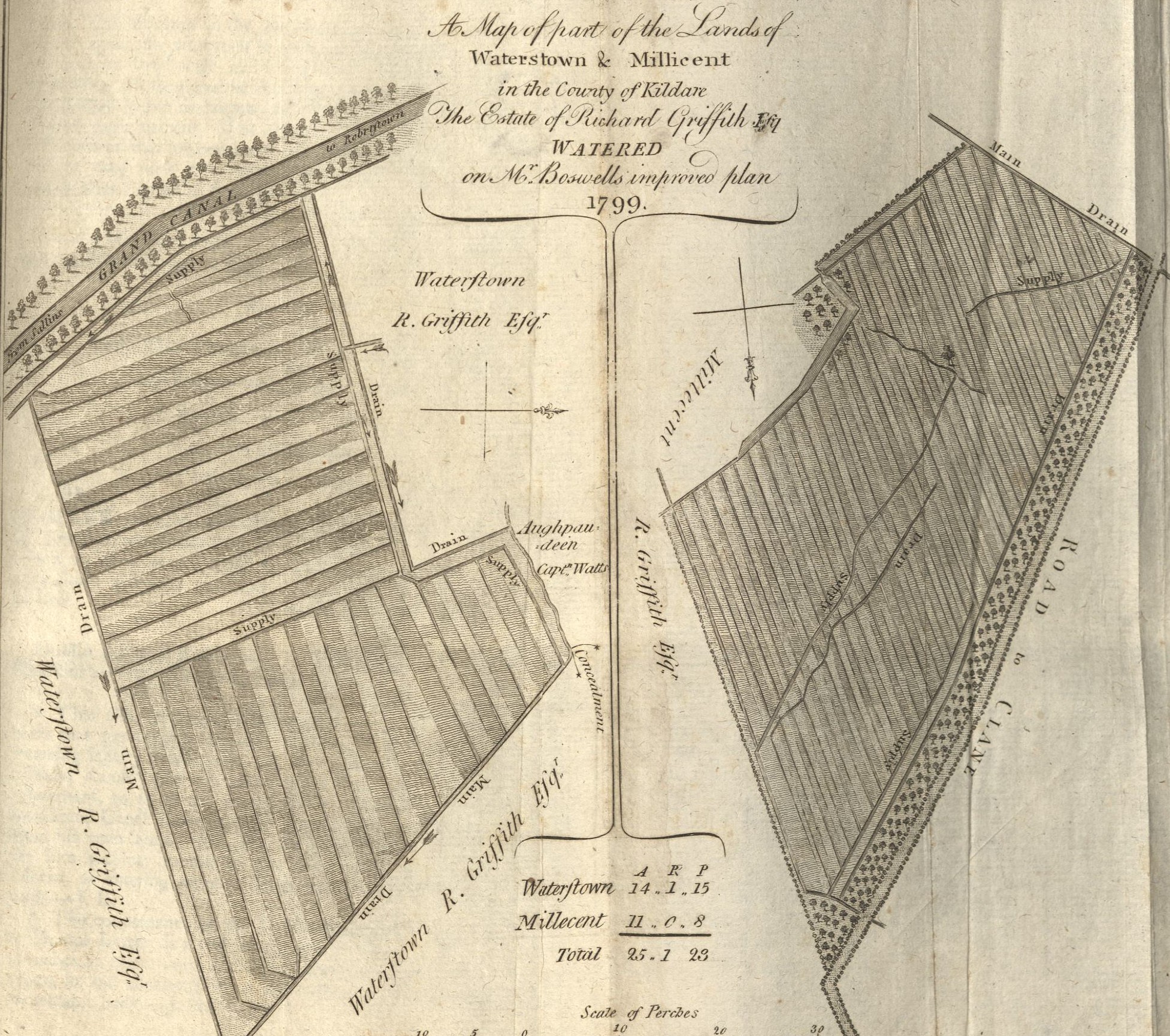 A 1799 Map Of Part Of Lands Of Waterstown & Millicent by Richard Griffith